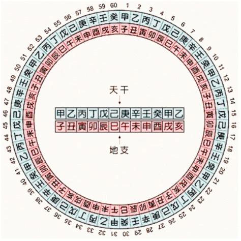 十天干查詢|五行天干地支對照表